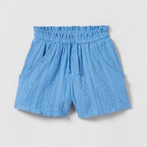 Zara Textured Embroidered Shorts